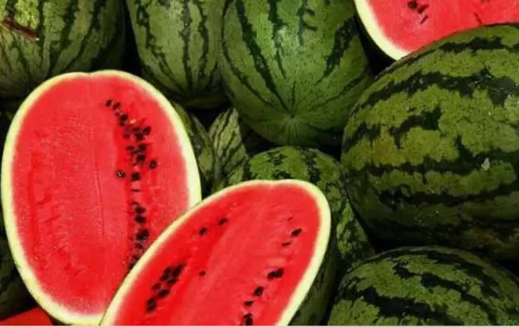 Usta manavlar biliyor sadece bu sırları! Karpuz seçerken yapın asla kelek çıkmıyor - Resim: 32